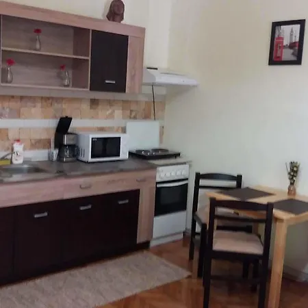 City Center Apartment Timisoara